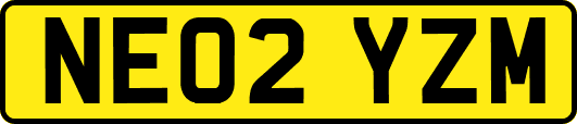 NE02YZM