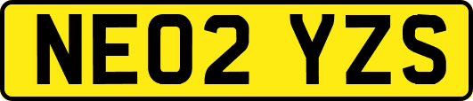 NE02YZS
