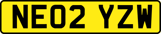 NE02YZW