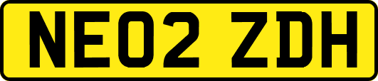 NE02ZDH