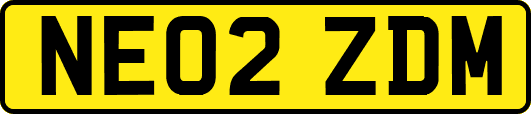 NE02ZDM