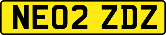 NE02ZDZ