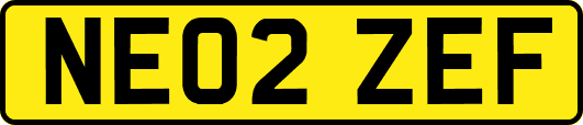 NE02ZEF