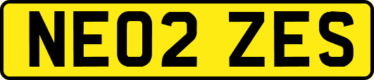 NE02ZES
