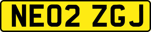 NE02ZGJ