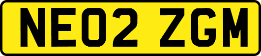 NE02ZGM