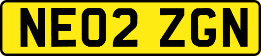NE02ZGN