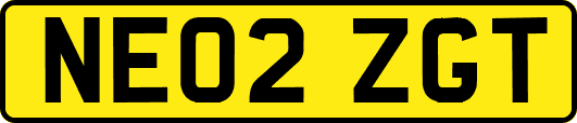 NE02ZGT