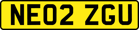 NE02ZGU