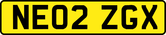 NE02ZGX