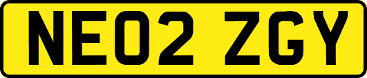 NE02ZGY