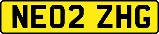 NE02ZHG