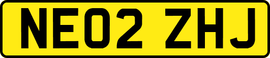 NE02ZHJ