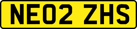 NE02ZHS