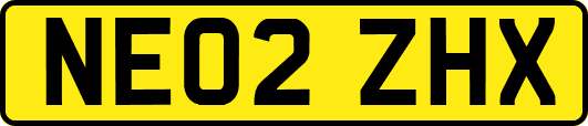 NE02ZHX