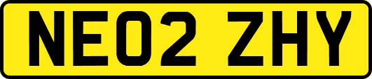 NE02ZHY