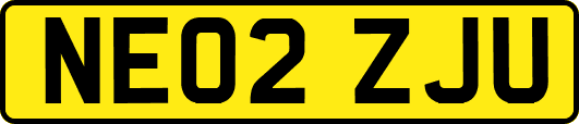 NE02ZJU
