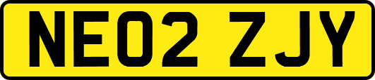NE02ZJY