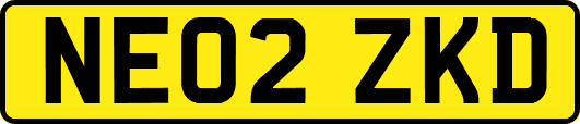 NE02ZKD