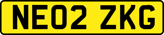 NE02ZKG