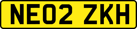 NE02ZKH