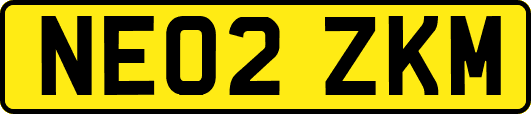 NE02ZKM