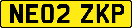 NE02ZKP