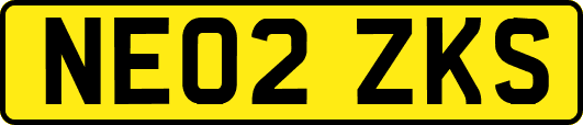 NE02ZKS