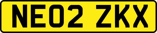 NE02ZKX