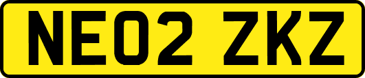 NE02ZKZ
