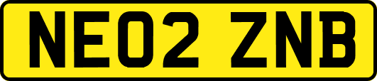 NE02ZNB