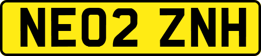 NE02ZNH