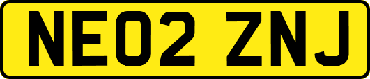 NE02ZNJ