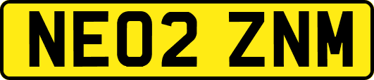 NE02ZNM