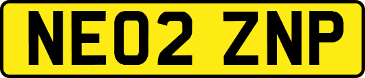 NE02ZNP