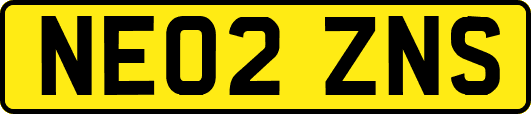 NE02ZNS