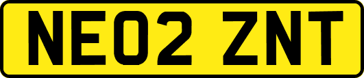 NE02ZNT