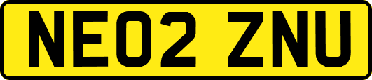 NE02ZNU