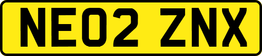 NE02ZNX