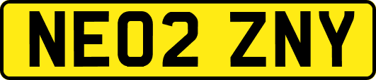 NE02ZNY