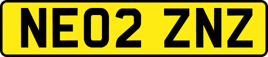 NE02ZNZ