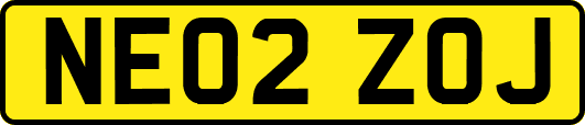 NE02ZOJ