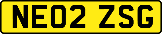 NE02ZSG