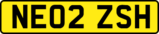 NE02ZSH