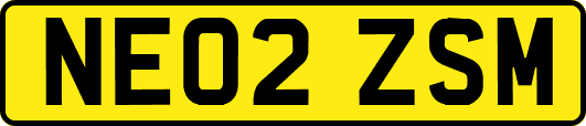 NE02ZSM