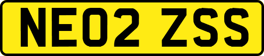 NE02ZSS