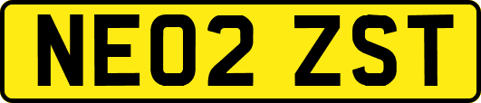 NE02ZST