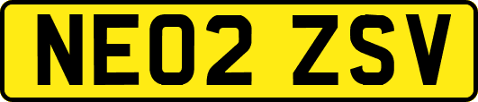 NE02ZSV
