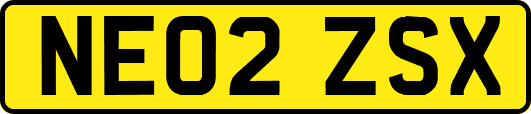 NE02ZSX