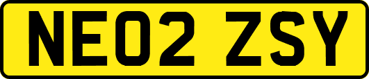 NE02ZSY